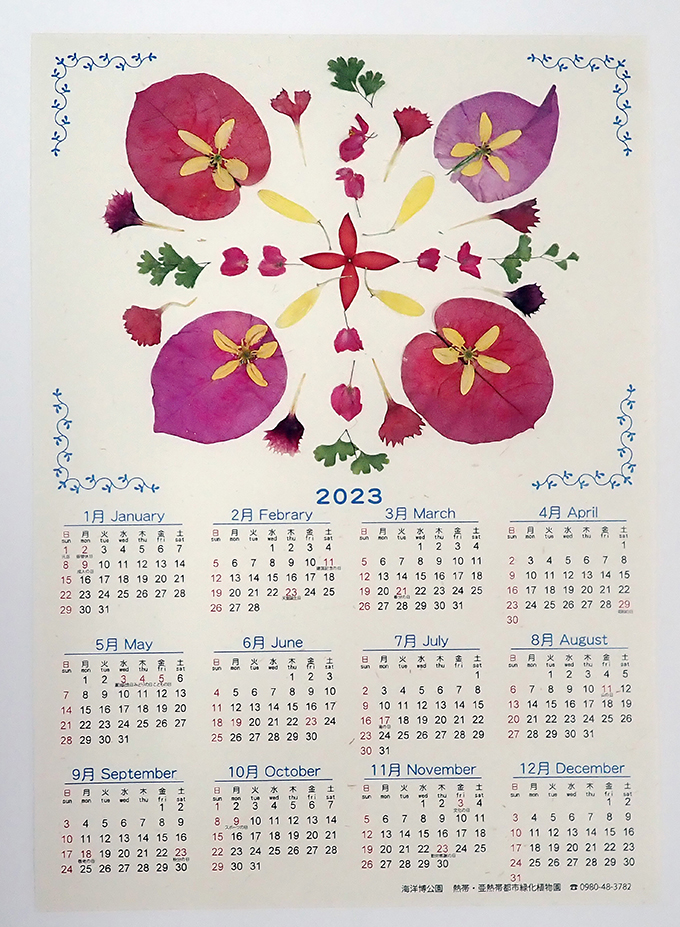沖縄の植物体験イベント「押し花、押し葉でカレンダー作り」