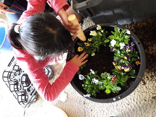 「鉢植えボランティア」募集！ ～チューリップの寄せ植え体験～開催