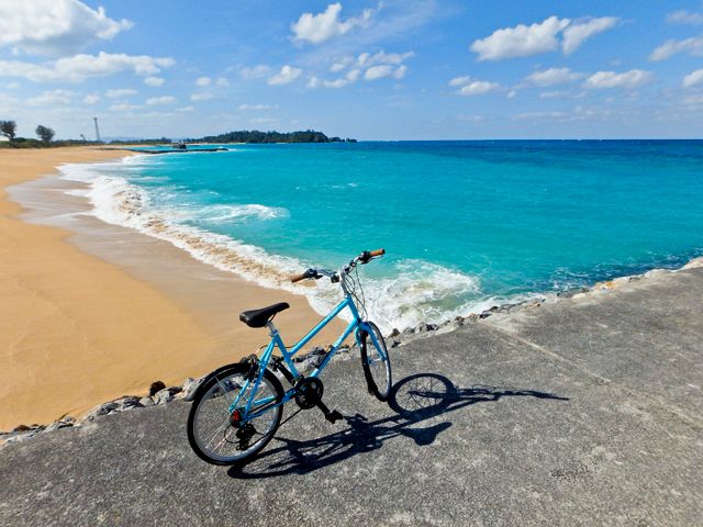 沖縄名護のレンタサイクル　ノレジオサイクル