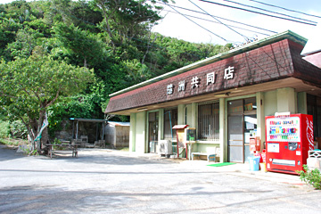 楚洲共同店