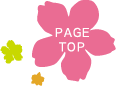 PAGE TOP