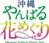 沖縄やんばる花めぐり