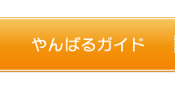 やんばるガイド