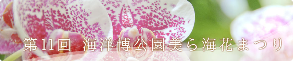 第11回 海洋博公園美ら海花まつり