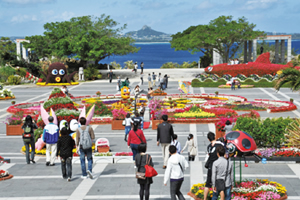 第11回 海洋博公園美ら海花まつり