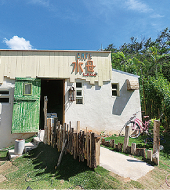 CAFE 水母