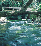 塩川