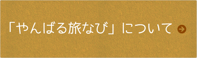 「やんばる旅なび」について