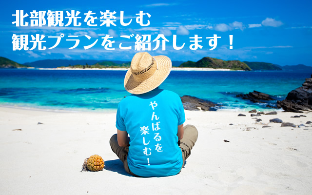 沖縄の魅力を楽しむプランガイドをご紹介します！